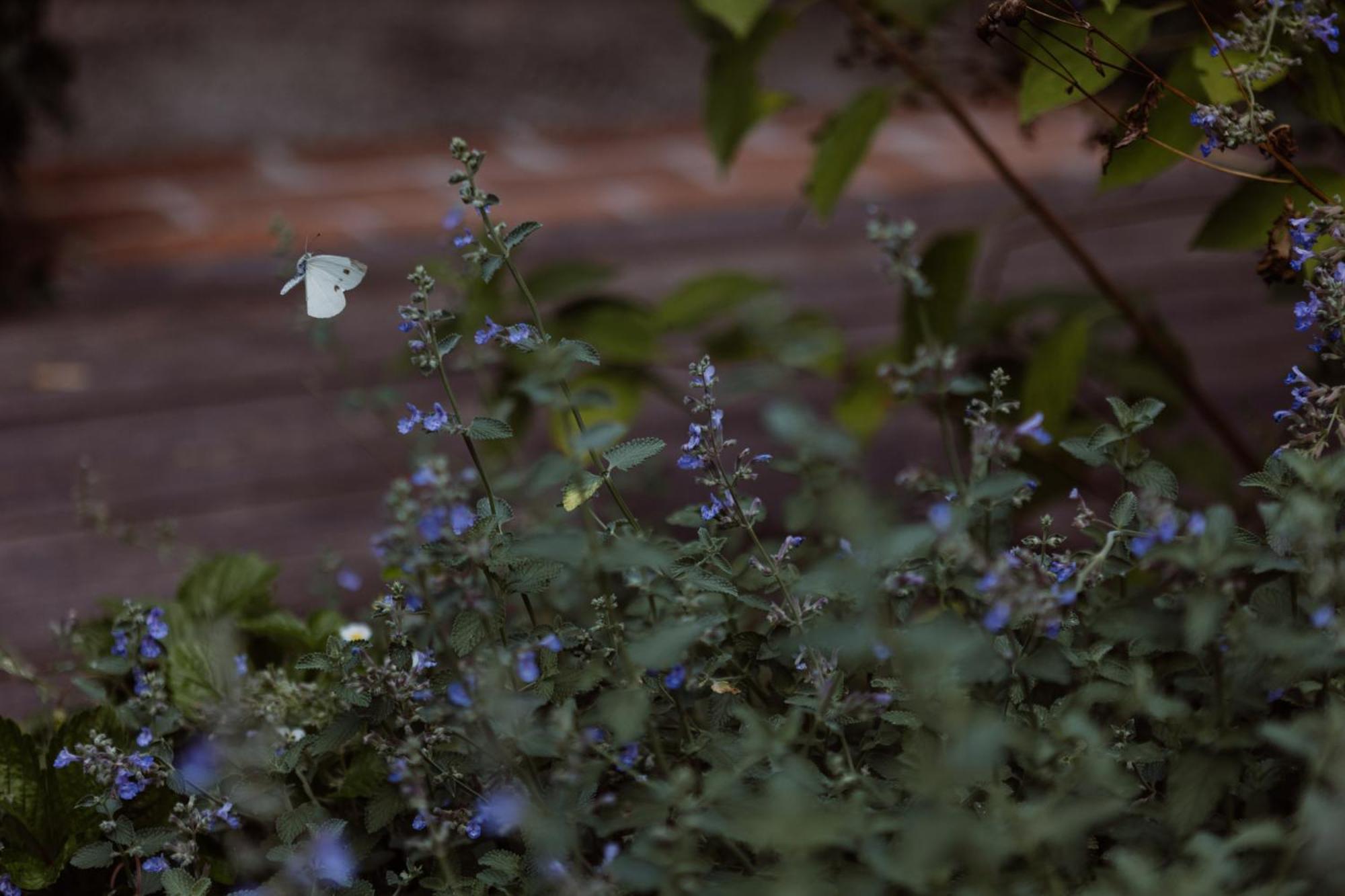 Casa Toma - Luxury Garden House Bed & Breakfast Arzignano Luaran gambar