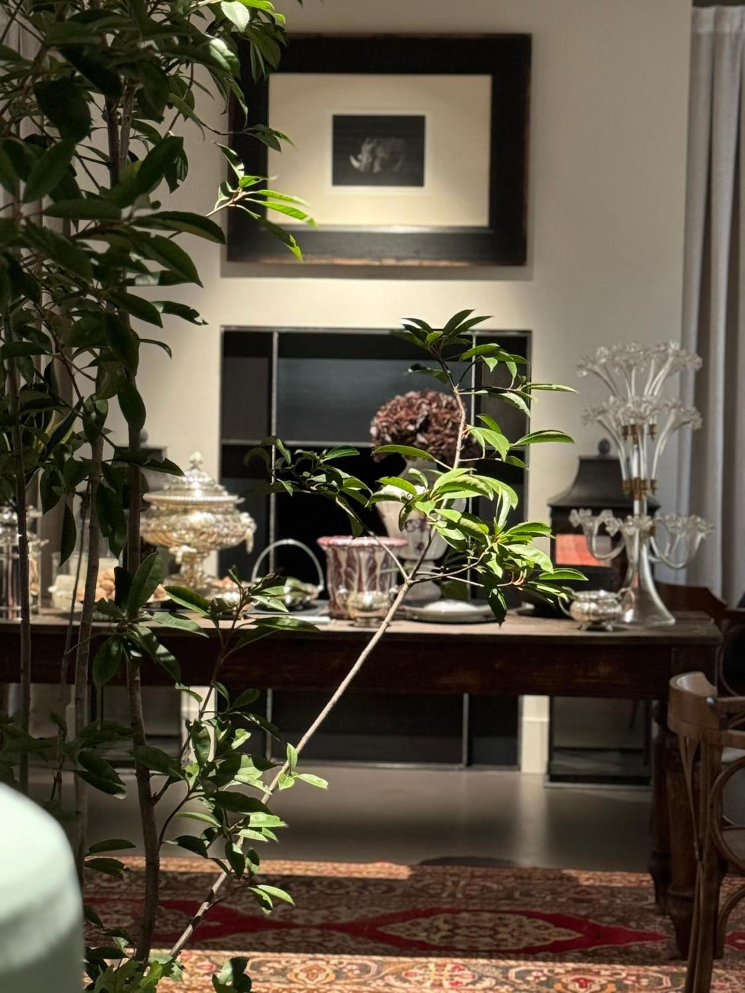 Casa Toma - Luxury Garden House Bed & Breakfast Arzignano Luaran gambar